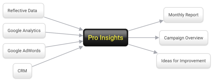 Pro Insights Scheme